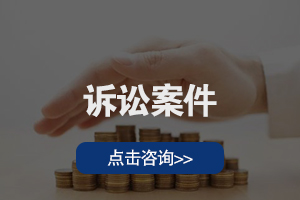 诉讼案件