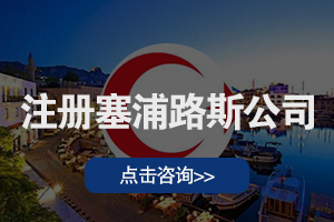 其他海外公司注册